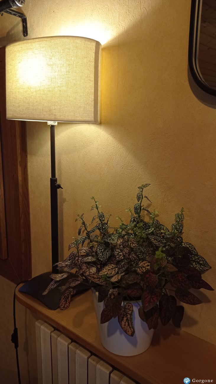Location La Clusaz Annonce 901-6