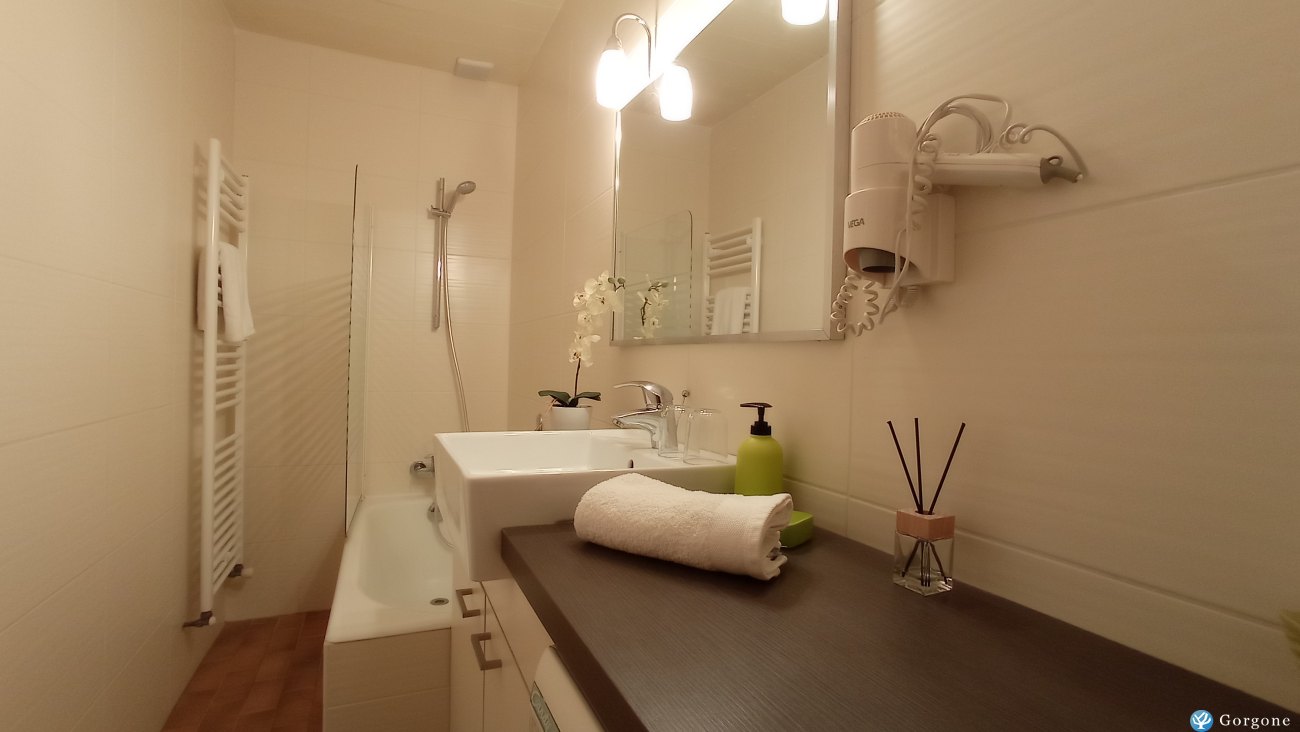 Location La Clusaz Annonce 901-21