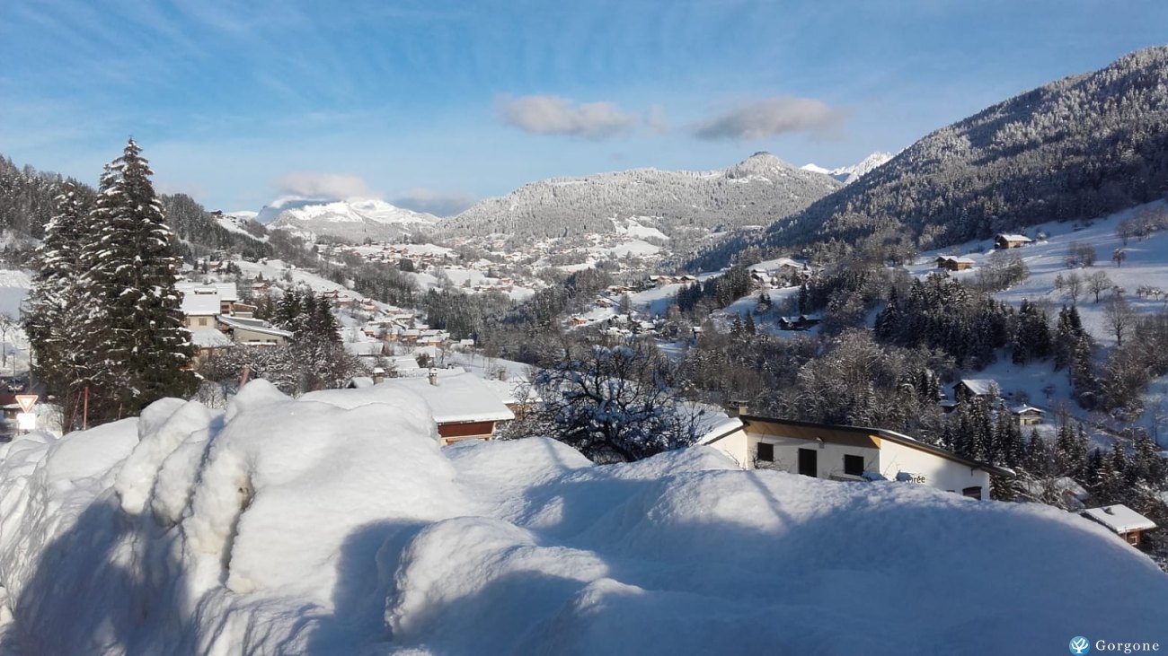 Location La Clusaz Annonce 901-29