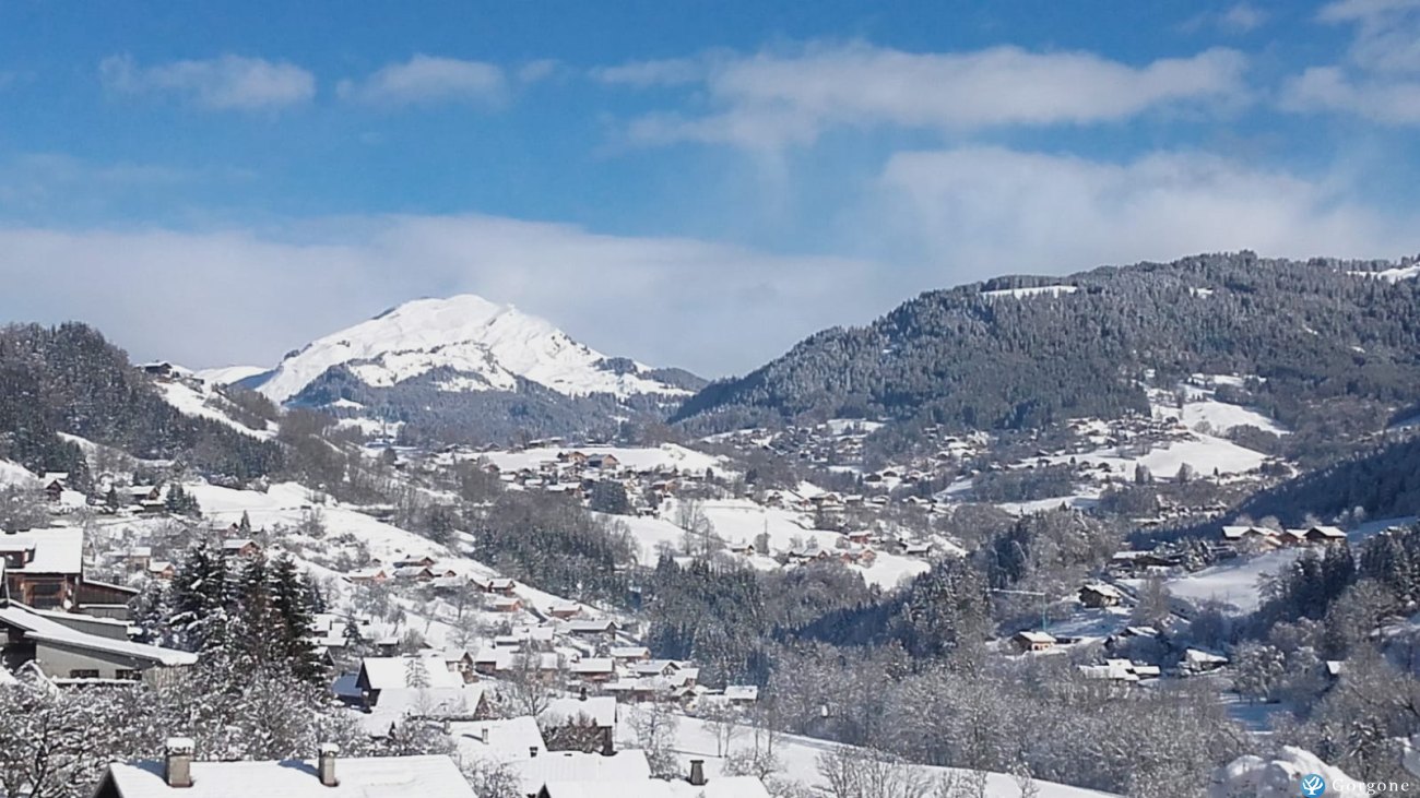 Location La Clusaz Annonce 901-30